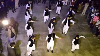 Folk Dance by students of Modernage [upl. by Drugge757]