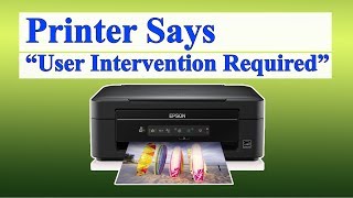 Printer Says User Intervention Required in Windows 10 Fix [upl. by Aretina264]