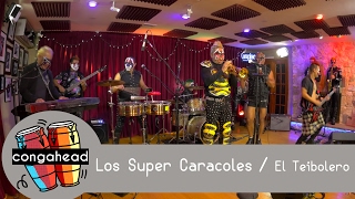 Los Super Caracoles perform El Teibolero [upl. by Stallworth758]