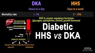 Hyperosmolar Hyperglycemic State Diabetic HHS vs DKA Animation [upl. by Evalyn]