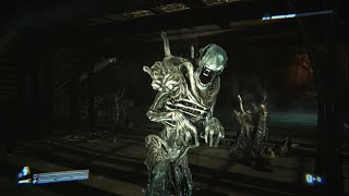 Aliens Colonial Marines Review [upl. by Narej]