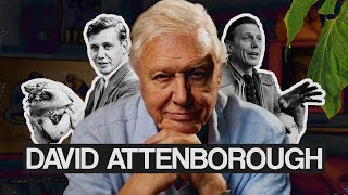 David Attenborough An Extraordinary Life [upl. by Aniham91]