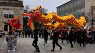 Dragon Dance for Chinese New Year 2020 [upl. by Nnaitsirhc]