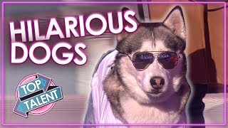 FUNNIEST DOG AUDITIONS amp MOMENTS EVER on Britains Got Talent  Top Talent [upl. by Masao]