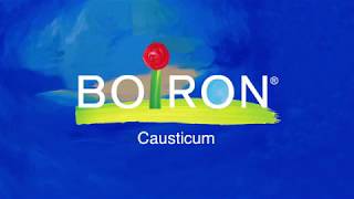 Causticum  Homeopathic Medicine for Arthritis and Joint Pain [upl. by Nyssa143]