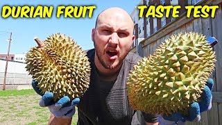 Durian Fruit Taste Test [upl. by Noy]