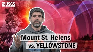 Mount St Helens VS Yellowstone Yellowstone Monthly Update  May 2024 [upl. by Blinnie953]