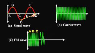 Amplitude Modulation and Frequency Modulation [upl. by Niwdog552]