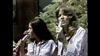 Starland Vocal Band  Afternoon Delight 1976 [upl. by Ilyk]