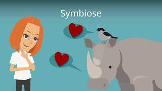 Symbiose  Biologie einfach erklärt mit Beispielen [upl. by Anilejna]