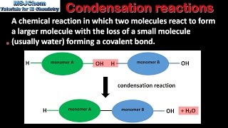 B1 Hydrolysis and condensation reactions SL [upl. by Eelirem209]