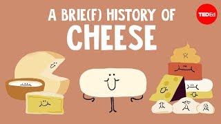 A brief history of cheese  Paul Kindstedt [upl. by Hareenum]