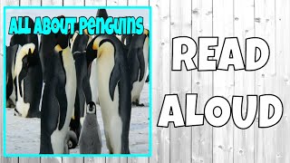 All About Penguins Read Aloud [upl. by Ecidnac]