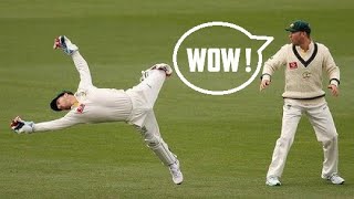 Best Wicket Keeper Catches Ever in Cricket History [upl. by Eelidnarb]