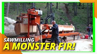 Fearless Sawmill Action Conquering the 20 Ft Douglas Fir sawmilling woodmizer [upl. by Lenz]