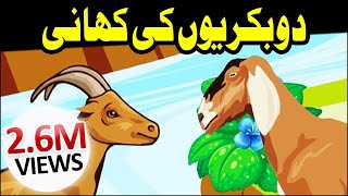 3D Cartoon Video ┇ 2 Bakriyon Ki Kahani ┇ Urdu Cartoon Kahani ┇ Kids Corner [upl. by Gaughan]