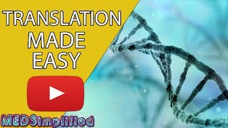 DNA Translation Made Easy [upl. by Adnulahs828]