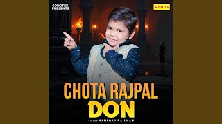 chota don [upl. by Yrreb]