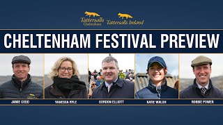 Tattersalls Cheltenham Festival Preview 2025 [upl. by Lavella]