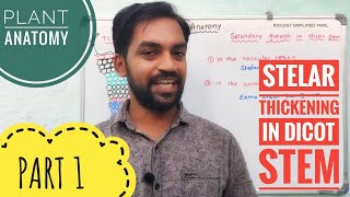 Secondary Growth in Dicot stem  Part 1  Plant Anatomy  V Senthilnathan [upl. by Yrrat675]