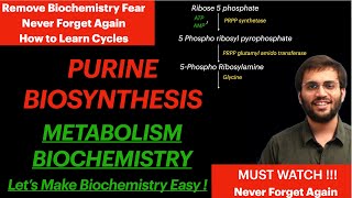 Purine Synthesis  Biochemistry  Purine Metabolism Video [upl. by Amado]