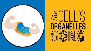 The Cells Organelles SONG  Memorize the Parts of the Cell [upl. by Wildon397]