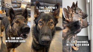 20 Sounds A German Shepherd Makes [upl. by Artus129]