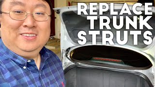 How to Replace Trunk Struts [upl. by Neelhtak]