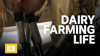 A day in the life of a dairy farmer [upl. by Ived349]