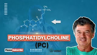 Phosphatidylcholine [upl. by Azilem]