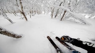 GoPro Screaming Skier At Mt Niseko In Japan [upl. by Phillada461]