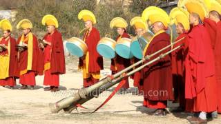 Tibetan horn played at Losar Tibetan New Year celebrations [upl. by Uv]