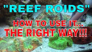 Reef Roids  How To Use It  The Right Way [upl. by Elletsirk]