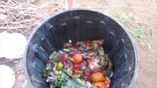 How to start a compost bin [upl. by Lais]