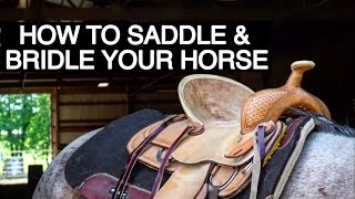 HOW TO TACK UP YOUR HORSE WESTERN [upl. by Richards]