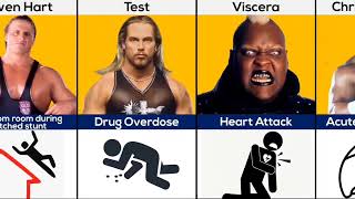 WWE Wrestlers Who Have Died [upl. by Nnayelsel464]