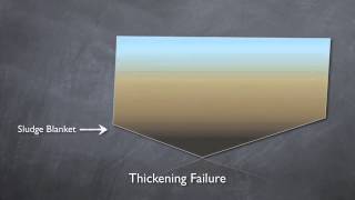 Clarifier Basics [upl. by Chloras624]