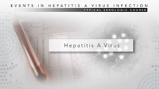 Hepatitis B Structure and Lab diagnosis [upl. by Esidnac80]