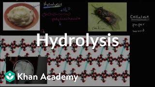 Practical Applications of Hydrolysis in Chemistry [upl. by Sib]