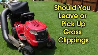 Should You Pick Up Grass Clippings [upl. by Vijnas]