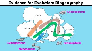 The Evolution of Populations Natural Selection Genetic Drift and Gene Flow [upl. by Yremogtnom303]