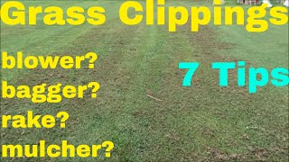 How to Deal with Grass Clippings in The Lawn [upl. by Aimik]