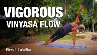 Vigorous Vinyasa Flow Yoga Class 30 min  Five Parks Yoga [upl. by Aynas]