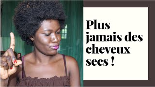 COMMENT HYDRATER EFFICACEMENT DES CHEVEUX CRÉPUS  PLUS JAMAIS LES CHEVEUX SECS [upl. by Enilada686]