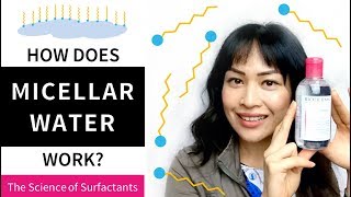 How Does Micellar Water Work The Science of Surfactants  Lab Muffin Beauty Science [upl. by Braswell]