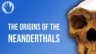 The Origins of the Neanderthals [upl. by Irami]