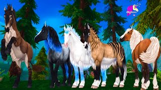 Buying All 6 New Jorvik Wild Horses Star Stable Online Horse Update [upl. by Findley]