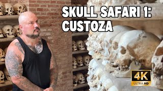 Skull Safari Custoza [upl. by Beichner]