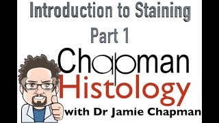 3 Min Histology Intro To Staining 1 [upl. by Darell]