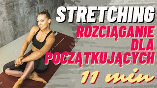 Stretching dla początkujących rozciąganie  Paula Piotrzkowska [upl. by Simara886]